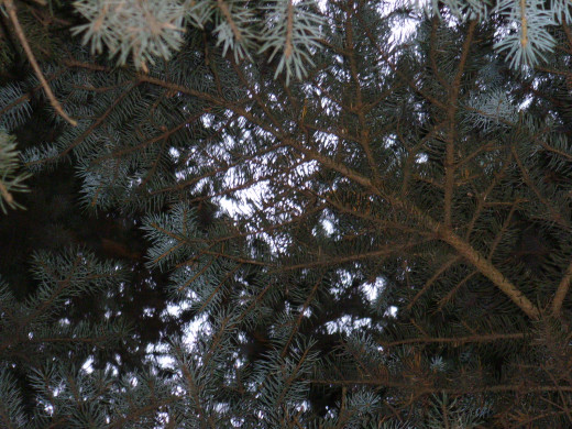 32220 (a): :1600x1200
